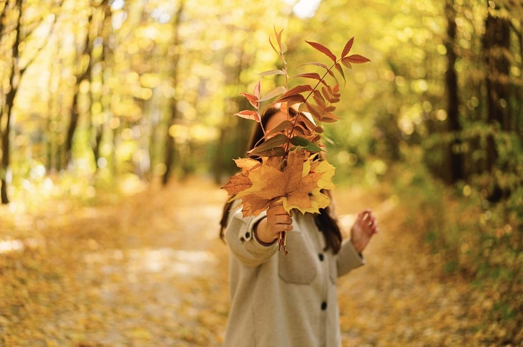 Herbst